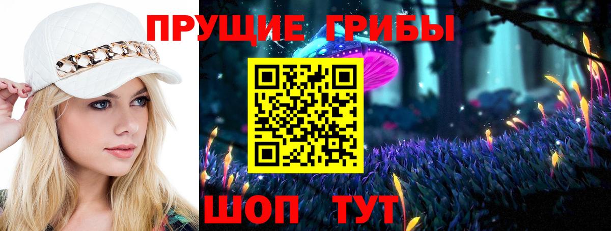 Псков  Галлюциногенные грибы Magic Shrooms  Вход с VPN 