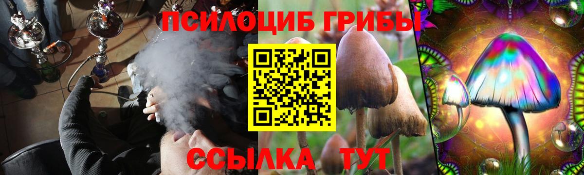 Псилоцибиновые грибы Magic Shrooms Псков